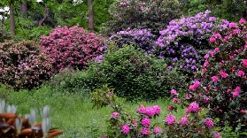 凡爾賽樹木園｜四季美景+行程規劃實測📸