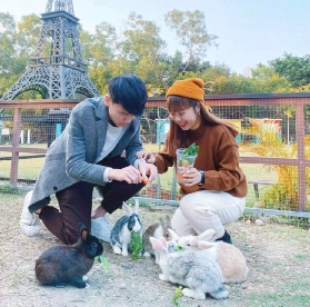 元朗小白兔農莊實玩｜近距離摸兔兔+親子活動超讚！避坑看這篇🐰