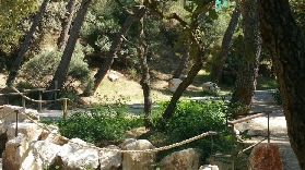 法國巴本動物園實測｜700+動物超近距離！3個預訂避坑+行程規劃✨