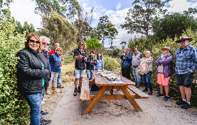 布魯尼島一日遊懶人包｜從早茶到燈塔的超讚體驗！避坑總結看這篇✨