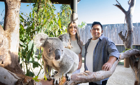 藍山一日遊實測｜一天玩遍山景+萌獸+海港！免規劃超讚✨