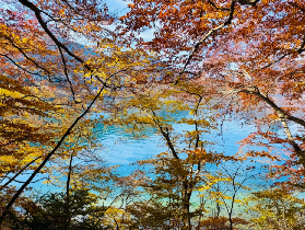 東京日光一日遊｜臺灣人實測！這些細節超讚別錯過🤩