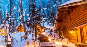 北海道包車一日遊｜臺灣人實測！這些景點美到哭😭