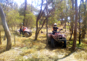 墨爾本必玩｜1.5小時車程解鎖越野快感！新手友好附預訂避坑✨