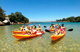 悉尼曼利隱藏秘境大公開！獨木舟體驗避坑實測✨