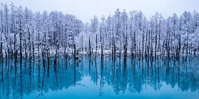 札幌包車一日遊實測｜3個選品避坑點！港澳人必睇✨