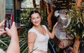 悉尼出發南海岸1日遊｜抱考拉+看噴水孔超抵！避坑指南✨