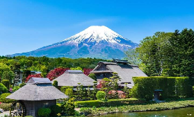 東京出發富士山&箱根一日遊｜完整行程亮點+規劃指南📝