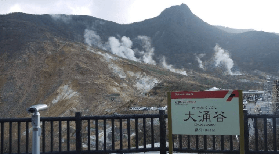 富士山一日遊怎麽選？臺灣人實測3個預訂關鍵｜附購物券懶人包🔥