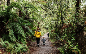 墨爾本逃離城市必試！普芬比利蒸汽火車雨林之旅｜避坑實測✨