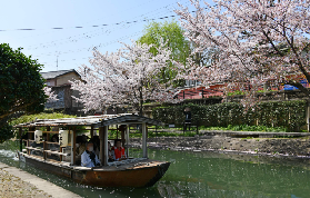 京都伏見酒鄉導覽｜遊玩後總結！避坑+實用建議全整理📝