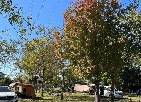 香港山林裏農莊露營總結｜避坑指南+體驗回顧📝