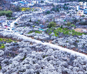 2026年清遠新春嘉年華