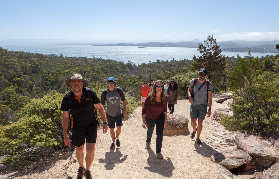 塔斯馬尼亞一日遊實測｜酒杯灣+菲欣納公園，這些坑我幫你踩過了✨
