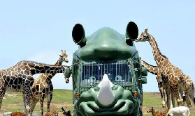 九州一日遊實測｜包車玩大分動物園+別府地獄！避坑指南看這篇✨