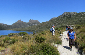塔斯馬尼亞搖籃山一日遊實測｜港澳仔親身走跳！避坑這5點才不浪費✨