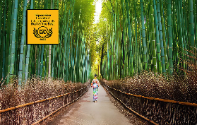 京都嵐山徒步一日遊｜5大體驗亮點+行程規劃懶人包！超讚✨