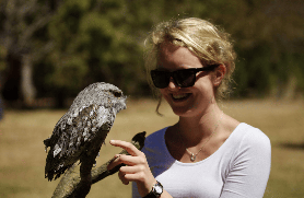 塔斯馬尼亞一日遊必玩！亞瑟港歷史+惡魔互動超夯爆🔥 行程規劃看這