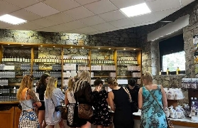 4小時玩爆法國藍海岸！尼斯敞篷3輪車之旅｜預訂+體驗全攻略✨