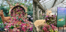 錯過等一年！2026倫敦最美花展季限定回歸