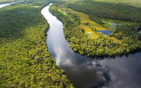 卡卡杜一日遊｜高空飛行+黃水河看鱷魚+原住民文化！全包式超抵✨