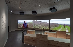 法國香檳博物館實測｜3大避坑點+隱藏品酒細節｜世界遺產地打卡✨