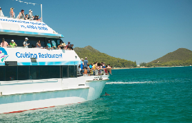 澳洲海豚之都實測！99%賞豚率+尾波網玩到瘋，這趟船班超讚✨