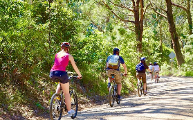 莫寧頓半島自行車酒莊之旅｜6小時暢玩葡萄園+奶酪廠！避坑實測✨