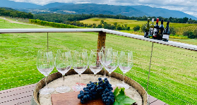 亞拉河谷自行車酒莊之旅｜避坑總結！這些細節一定要註意⚠️