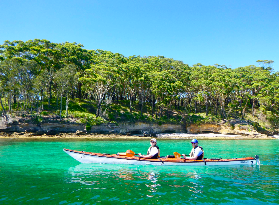 Jervis Bay獨木舟半日遊｜超讚野生海豹體驗！行程規劃看這篇✨