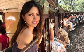 墨爾本一日遊實測｜蒸汽火車+企鵝歸巢+萌寵互動 避坑全攻略✨