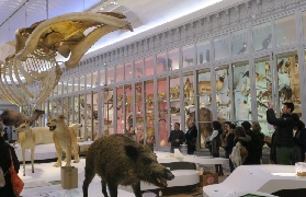 波爾多城市通票避坑全攻略｜這5個點別踩！保姆級總結