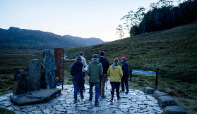 塔斯馬尼亞搖籃山夜探險實測！近距看袋熊+惡魔，避坑全攻略✨