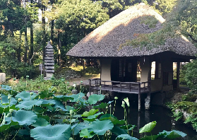 京都茶道體驗實測！武士後裔親授+花園秘境｜臺灣人走心分享