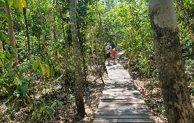 澳洲聖靈群島｜白天堂海灘半日遊實測！3個必知避坑點+出片絕技✨