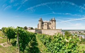 法國Valley葡萄酒一日遊｜預訂前必睇！避坑&選品貼士✨