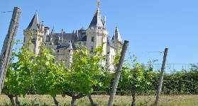 瓦爾河谷葡萄酒一日遊｜遊玩後總結5個必知避坑點⚠️