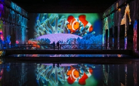 波爾多光之盆地實測｜1.5小時沉浸式藝術轟炸！避坑指南收好✨