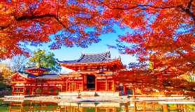 奈良宇治一日遊實測｜餵鹿+抹茶+泡湯超讚細節大公開🤩