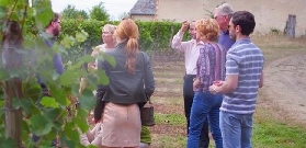 法國盧瓦爾河谷一日遊實測｜2城堡+酒莊避坑指南✨