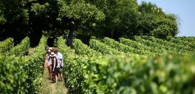 盧瓦爾河谷一日遊心得｜城堡花園+酒莊隱藏亮點大公開🤩