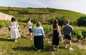 盧瓦爾河谷品酒一日遊｜遊後總結3大避坑點+實用建議📝