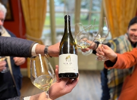 勃艮第品酒一日遊實測｜14款酒喝到爆？這些坑別踩！✨