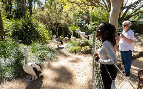 阿德萊德動物園一日飼養員｜實測3亮點+避坑指南✨