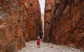 澳洲內陸一日遊實測｜西麥克唐納山脈必玩！避坑+體驗亮點大公開🤩