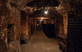 蘭斯出發香檳下午遊｜親測2家家族酒莊品酒+唐培裏儂教堂！避坑指南💡