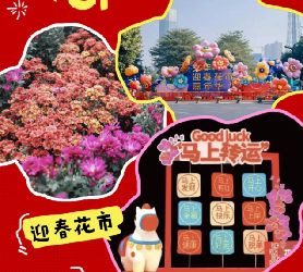 走，行花街！佛山2026花市合集來啦