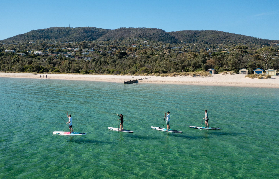 莫寧頓半島一日遊實測！預訂前必睇這5個選品重點✨