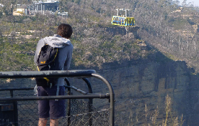 悉尼藍山12小時一日遊實測｜避坑+隱藏玩法全攻略✨
