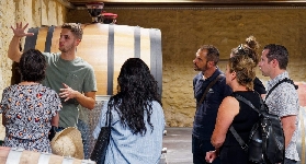 馬賽到普羅旺斯一日遊實測｜超讚中世紀村+品酒體驗🤩